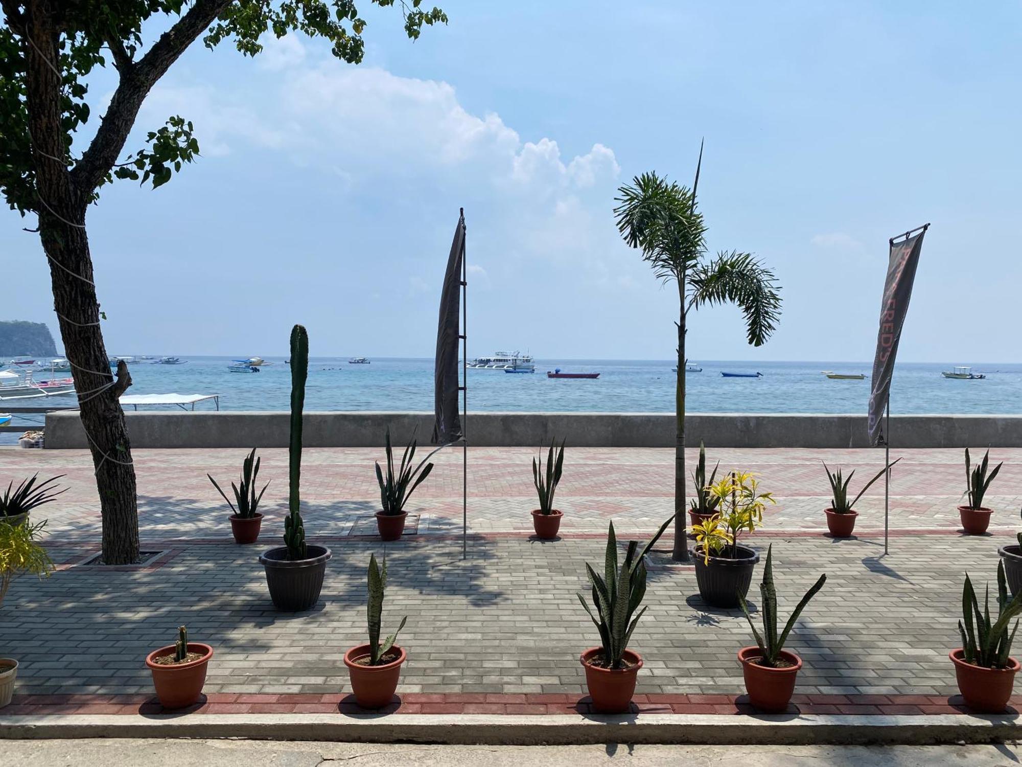 Papa Freds Beach Resort Puerto Galera Esterno foto