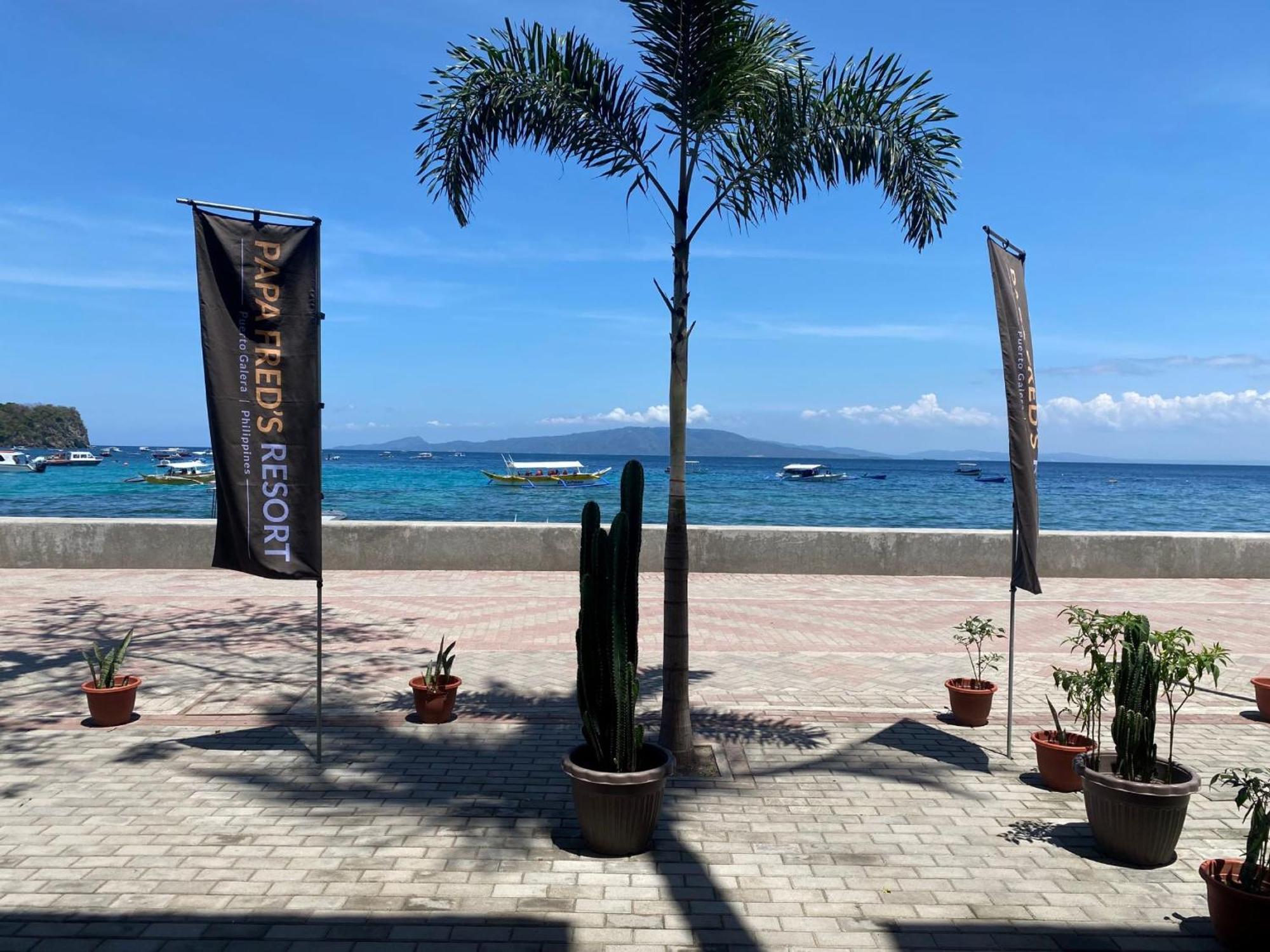 Papa Freds Beach Resort Puerto Galera Esterno foto